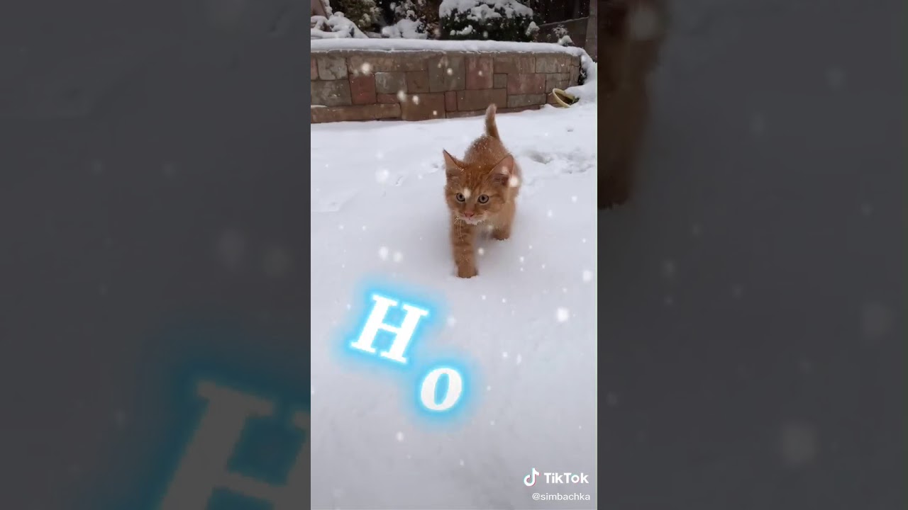 Картинки симбочки пимбочки