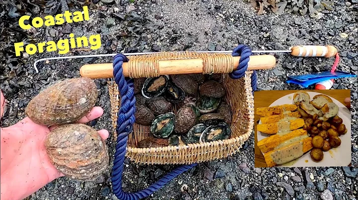 Traditional Abalone Foraging , Catch Clean Cook , Cricking for Abalone - DayDayNews