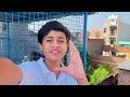 Maine yah 3 kabutar kaise pakad liye🕊️🤔🤔#pigeon #kabutar #trending #viralvideo