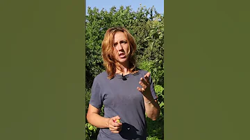 Почему опадают завязи?? Как спасти урожай груш и яблок🍏🍐