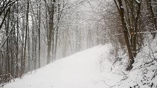 Spomienka na zimu 2021 /  Memories of winter 2021 / Brezno, (Horné Lazy), Slovakia