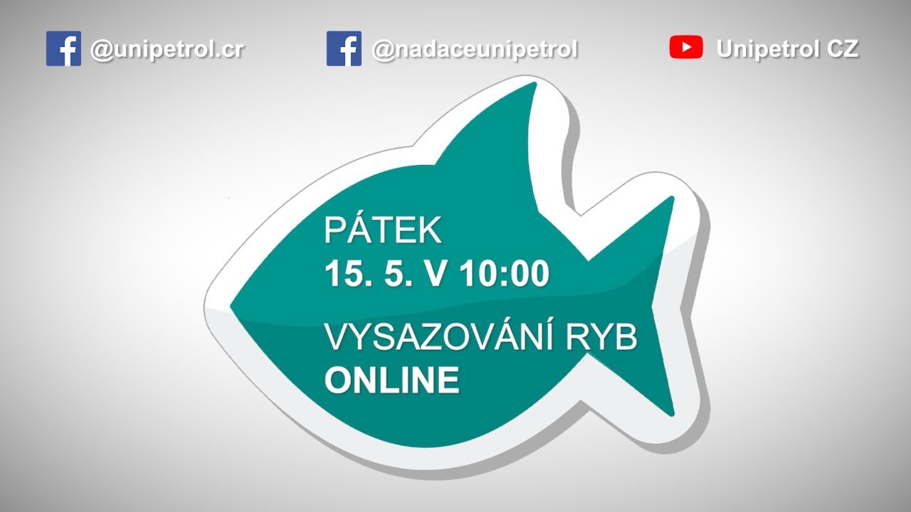 Záznam přenosu vysazování ryb do řeky Bíliny v Mostě