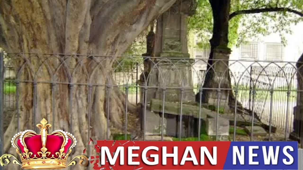 Meghan Royals Es - El personaje enterrado debajo de un árbol en el Panteón de Belén que busca regre