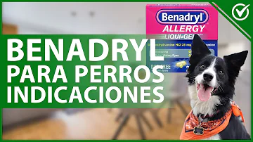 ¿Se puede dar Benadryl a los perros para dormir?