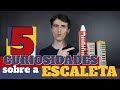 5 coisas que você não sabia sobre a Escaleta #50