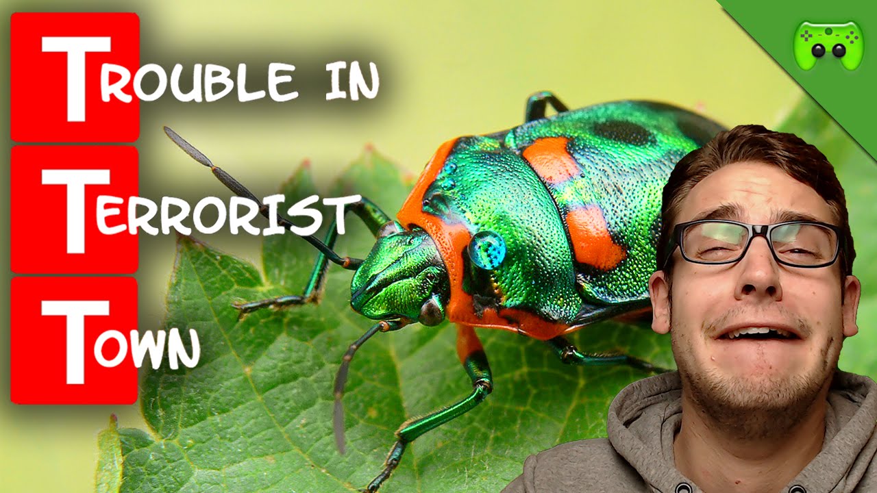 ARMER SEP - BÖSER BUG 🎮 TTT 