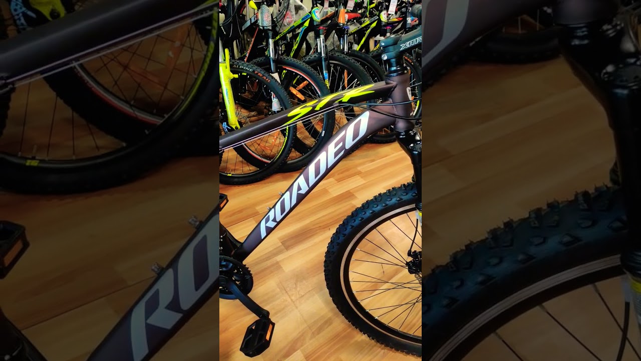 roadeo cycle new model