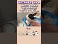 野良猫保護から初めてのお風呂パート1 #保護猫 #cat