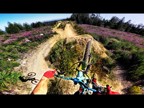 Exploring Galbraith Mountain