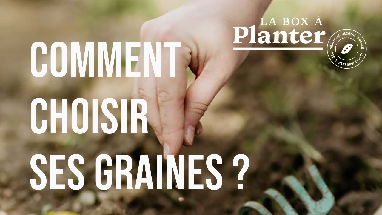 Box de graines - Potager urbain