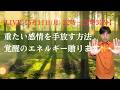 【5/11(月) 22:00〜22:30『 LIVE』】重たい感情を手放す方法！