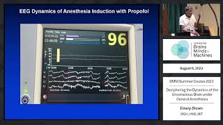 Deciphering the Dynamics of the Unconscious Brain under General Anesthesia