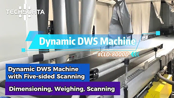 Meet the Techsorta Dynamic DWS System — Dimension • Weigh • Scan — All in One Smart Solution | AU