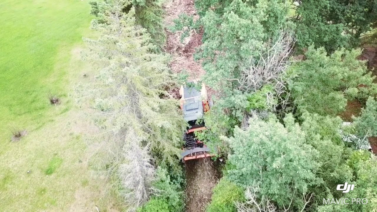 Forestry Mulching in Alberta 2019 YouTube
