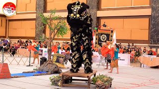 D.I. YOGYAKARTA | KATEGORI BARONGSAI TRADISIONAL | KEJURNAS BARONGSAI 2022