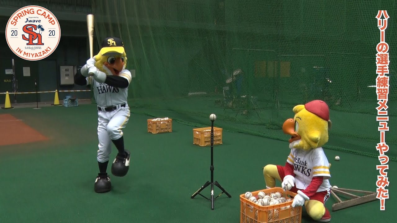 ホークス公式 ハリーのやってみた 20200224