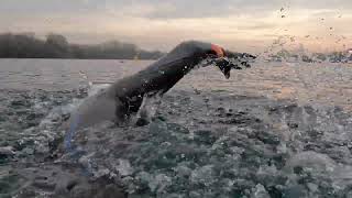Training for Lake Windermere- Swim For Carolyne  - JUST GIVING