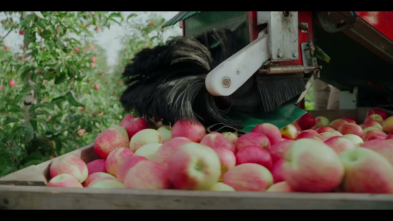 Our German apple grower, Obstbau-Rech