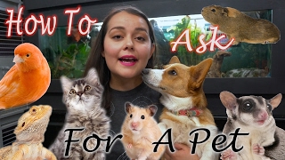 How To Convince Your Parents to Get You A Pet