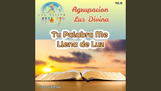Video thumbnail of "Agrupación Luz Divina - Sin Santidad Nadie Verá al Señor (Original)"