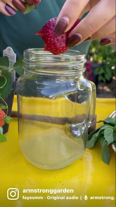 DIY Refreshing Strawberry Basil Lemonade