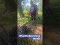 What Excites Grown Men! #myyard #exciting #grownmen #grownman #adulting