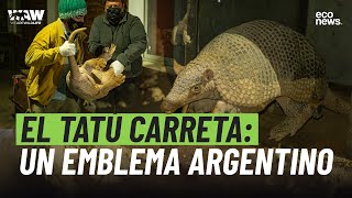 El Tatú Carreta: un emblema argentino