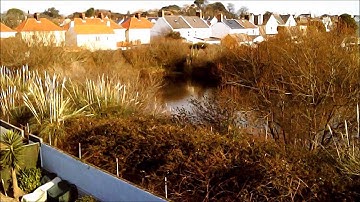 Syma X5C the first flight