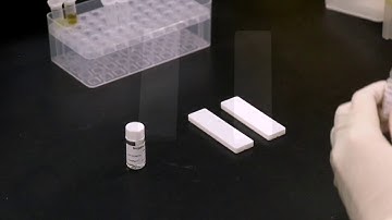 Aspergillus Galactomannan Detection K-Set （Lateral Flow Assay)&Analyzer -Era Biology