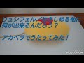 【アカペラ】友達いないアラサー女子/リュシフェル/抱きしめる他に何が出来るんだろう?/