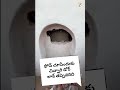 ఫోన్ చూసేందుకు చిన్నారి డోర్ లాక్ తప్పెవరిది