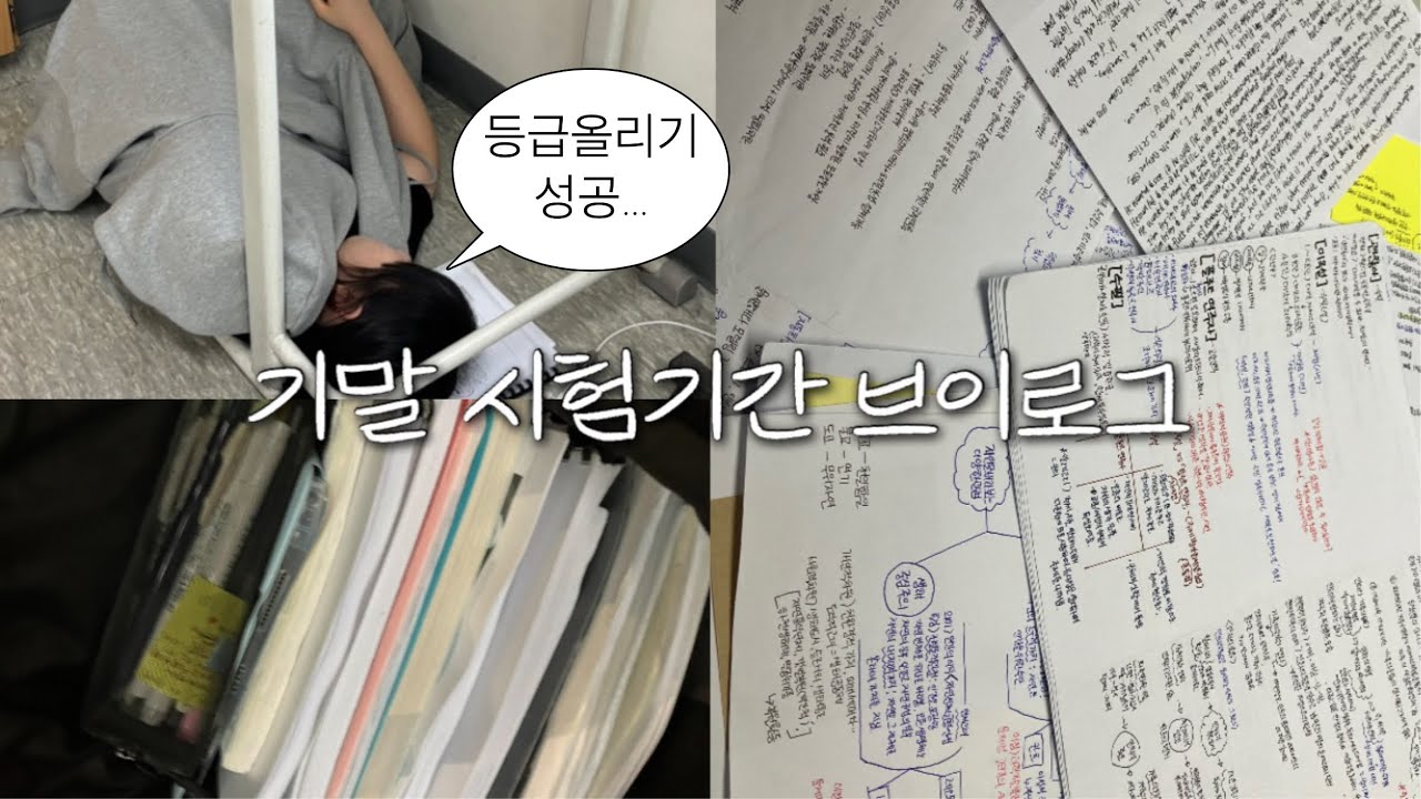 고등학교 기말고사 시험기간 브이로그 | 등급 올리기 성공 | 고1