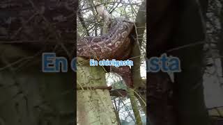 localidad de Chicligasta Tucumán y