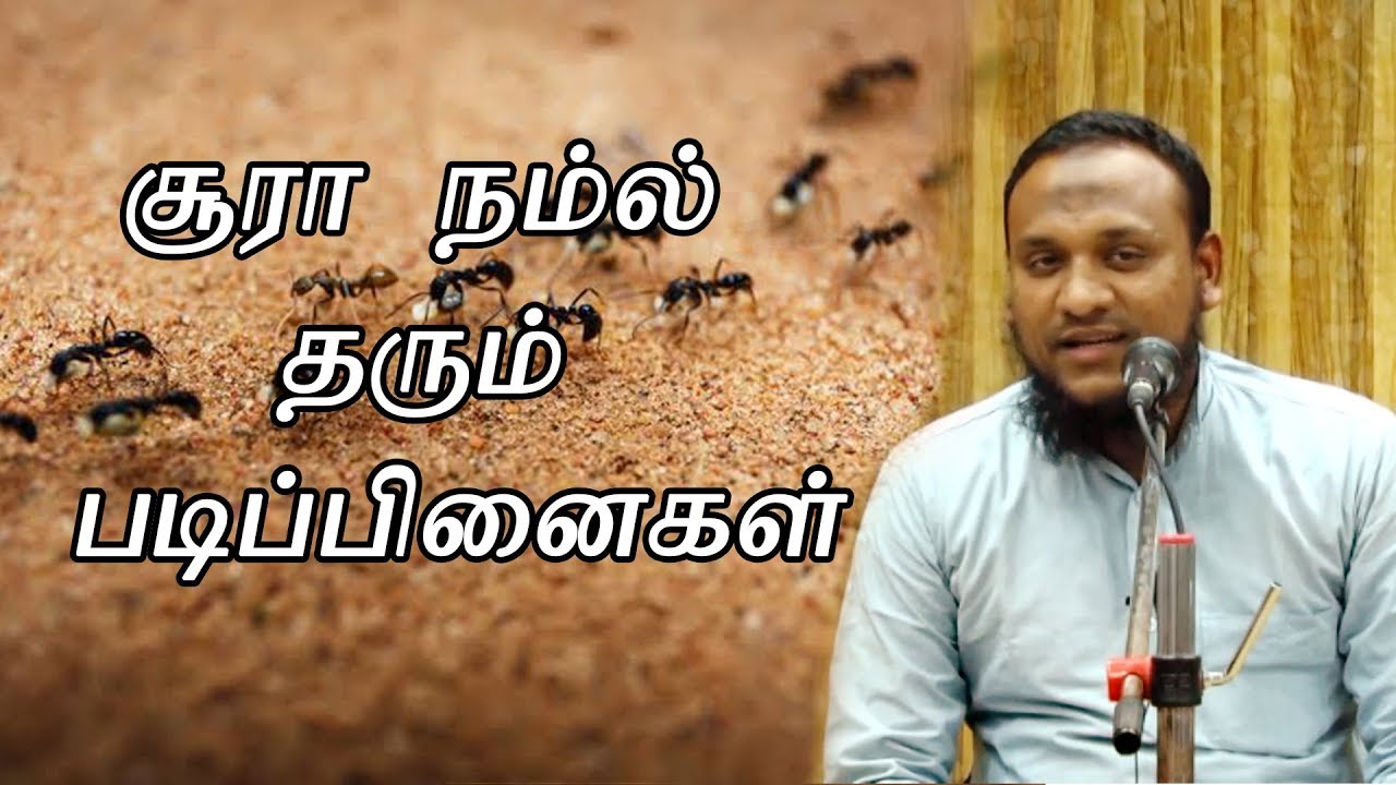 சூரா நம்ல் தரும் படிப்பினைகள்  | Hussain manbae | Darul Hikma