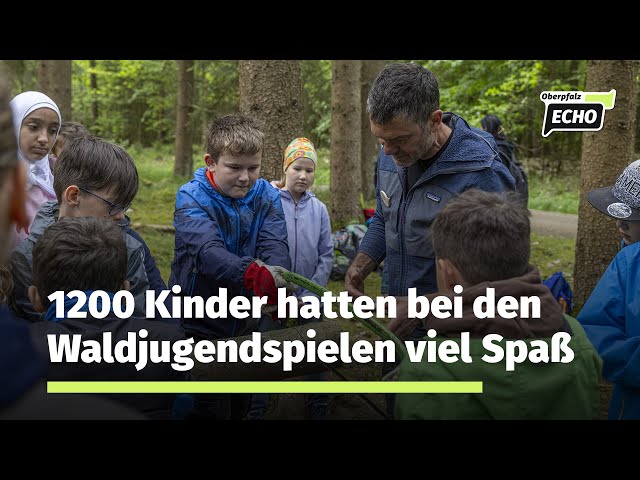 Waldjugendspiele 2024 mit 1200 Kindern aus den Landkreisen Neustadt und Tirschenreuth sowie Weiden