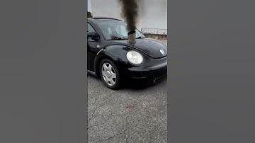 Hood Stacked diesel beetle! #turbodiesel #fyp #cartok #volkswagencar #turbo #diesel #viral