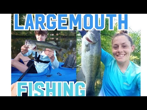 BASS FISHING for BIGGEN’S ..#fishing #bass #bassfishing