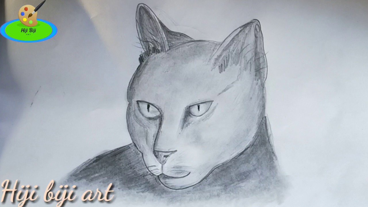 Cat Head Drawing Step By Step For Beginners How To Draw A Realistic Cat Head Youtube