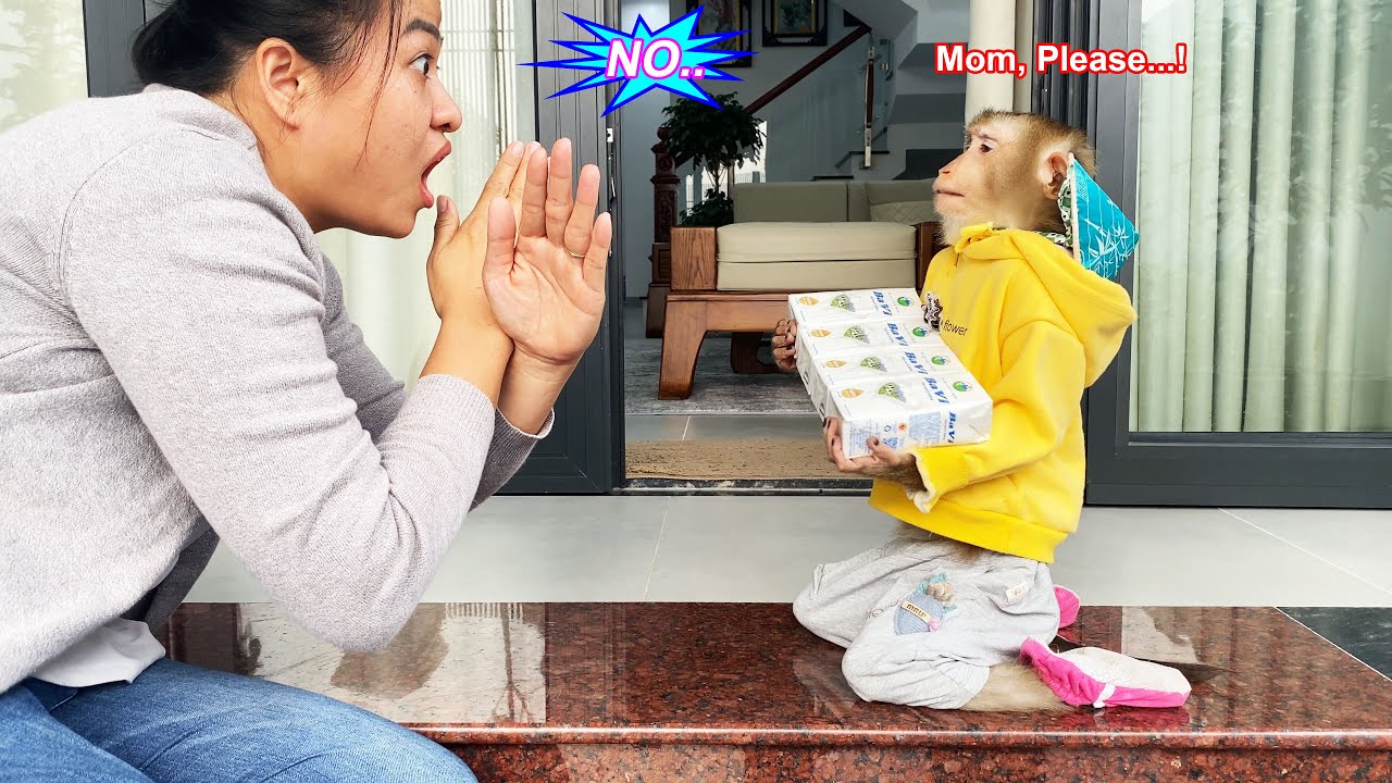 Обезьянка Лили разочарована, потому что её мама сказала «нет» молоку перед основным блюдом.