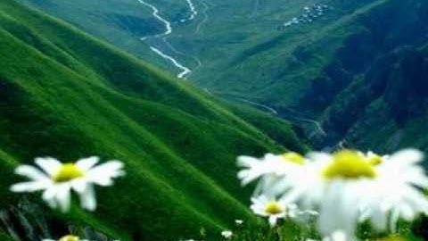 سورة النساء 37-59 بصوت القارئ أبي سليمان العتيبي