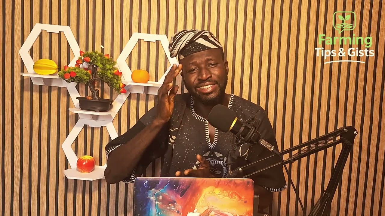 THE 4 PILLARS OF SUCCESSFUL AGRICULTURE PRODUCTION