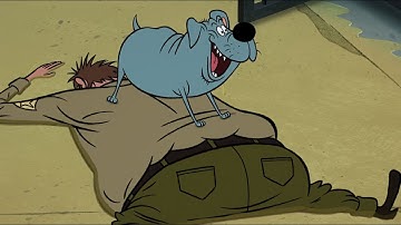 The Dogs Escapes from Cage - Fixed Funny Scene