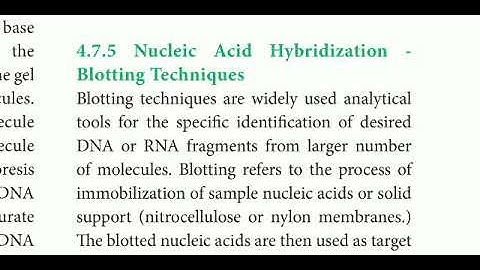 12 std Bio Botany chapter- 4  Principles and Processes of Biotechnology (Southern blotting techniq