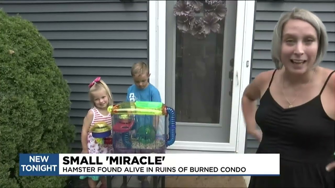 Miracle hamster survives Swan Valley condominium fire