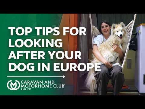 How to travel with your dog to Europe | Caravan and Motorhome Club