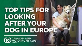 Top Tips For Travelling To Europe With Your Dog | Caravan and Motorhome Club
