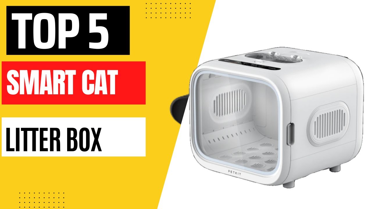 Best Smart Cat Litter Box Reviews 2023 Smart Cat Litter Box YouTube