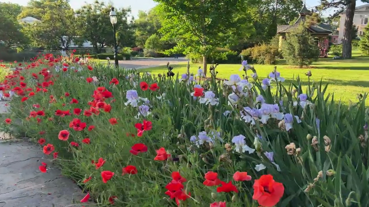 Figment Festival Snug Harbor Cultural Center & Botanical Garden Staten Island NYC USA June 4 2022