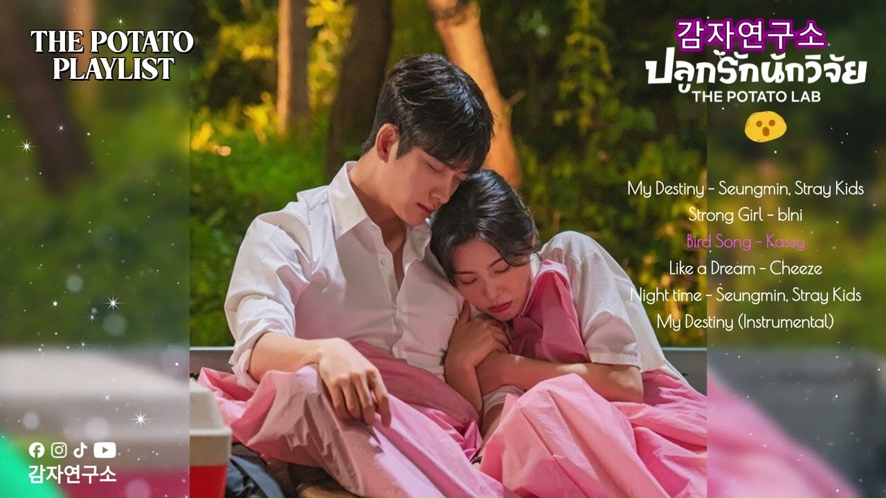 [K- drama ost playlist]✨❤️✨ปลูกรักนักวิจัย | The Potato Lab  | 감자연구소  | Part 1- 5