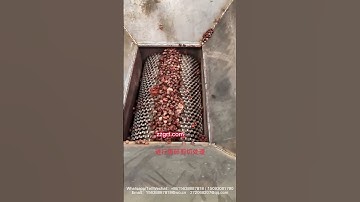 Forklift loading coconut shell shredder, palm fruit crusher, coconut peel coarse shredder